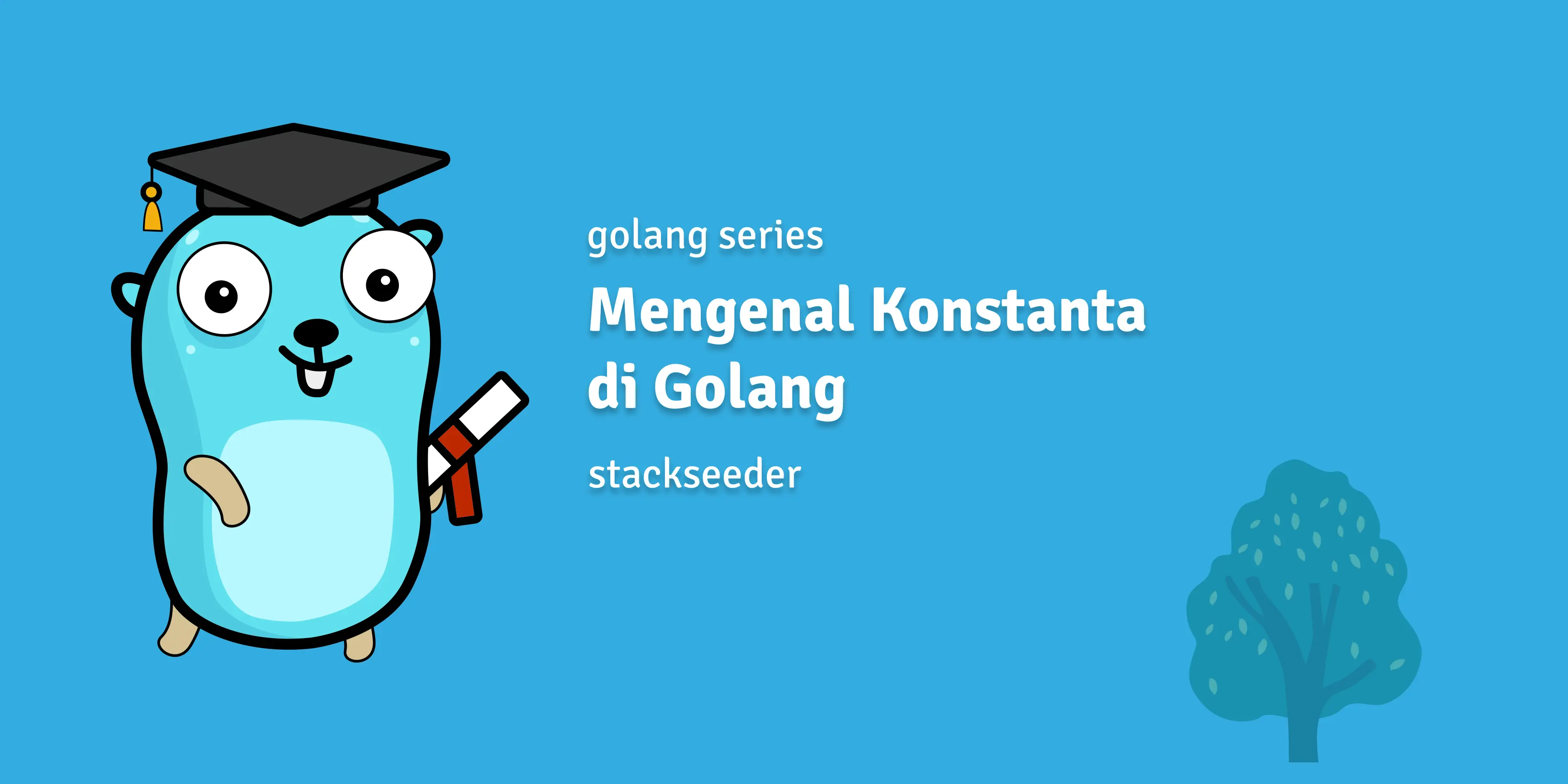 Mengenal Konstanta di Golang